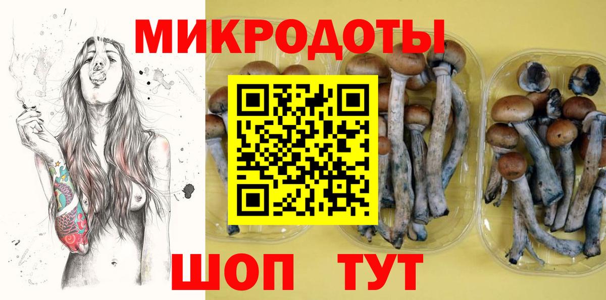 Галлюциногенные грибы Psilocybine cubensis  Вход с VPN  Лянтор 