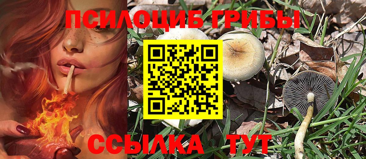 Псилоцибиновые грибы MAGIC MUSHROOMS Лянтор